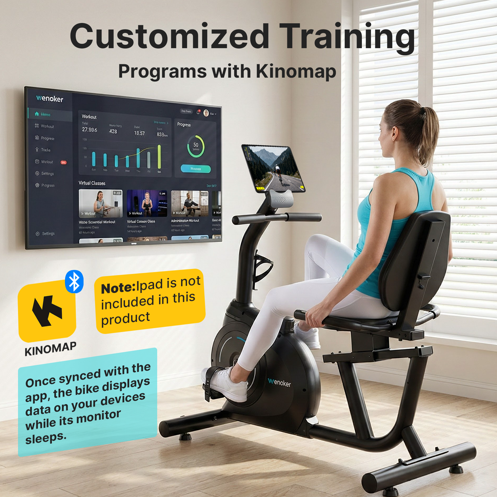 Wenoker JC503 Recumbent Exercise Bike